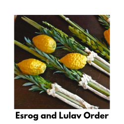 Lulav and Esrog Orders